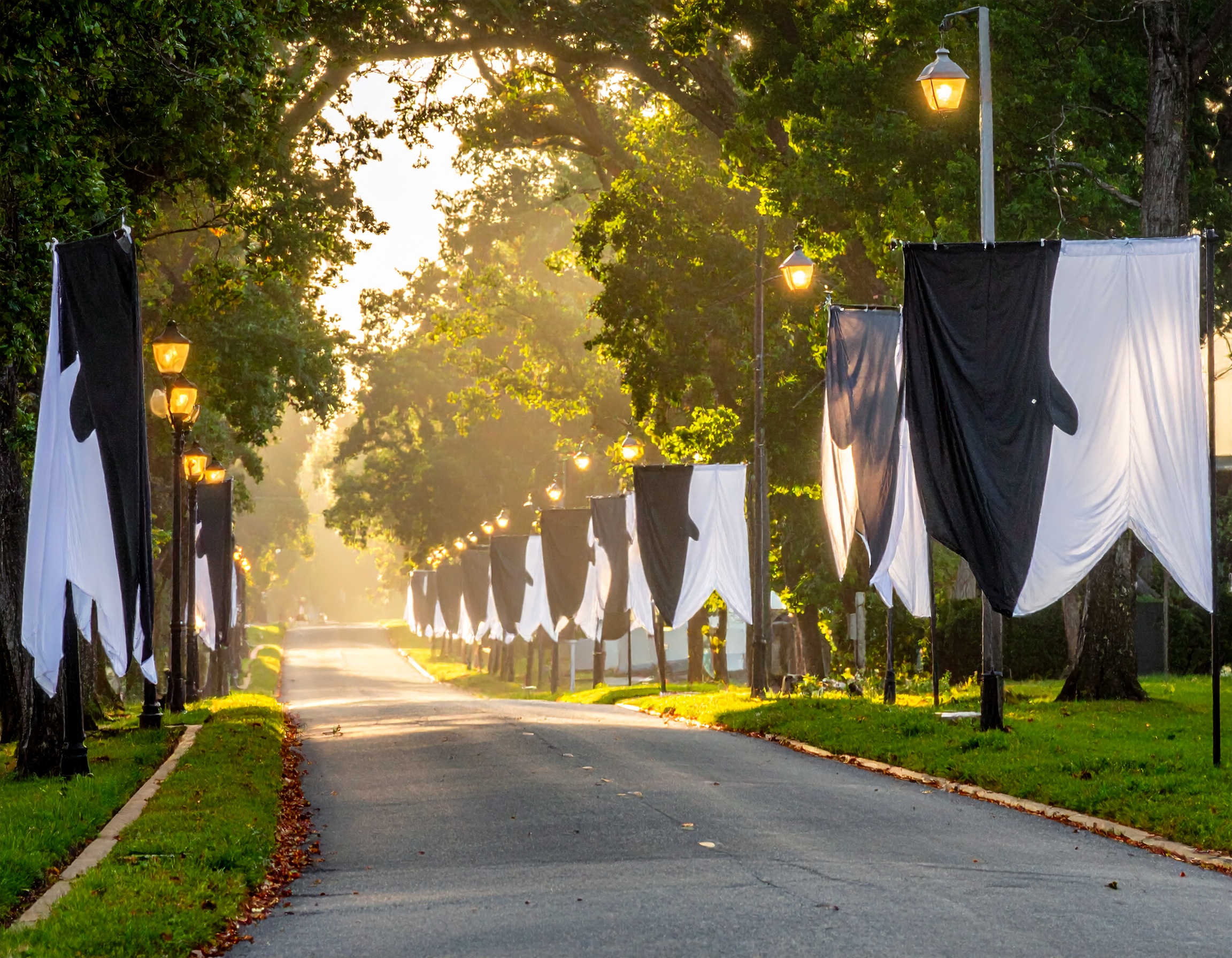 葬儀ムービー冒頭コメント例文集｜心温まる挨拶テロップ